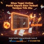 creuzadema.net