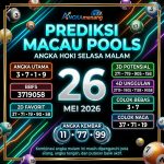 creuzadema.net